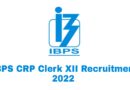 IBPS CRP Clerk XII Recruitment 2022